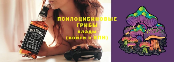 мяу мяу мука Чегем