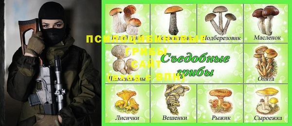 мяу мяу мука Чегем