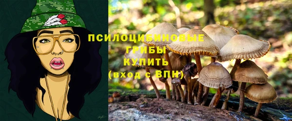 МДМА Чердынь