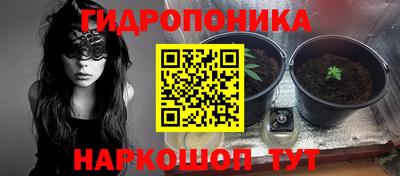 ГАЛЛЮЦИНОГЕННЫЕ ГРИБЫ Азнакаево