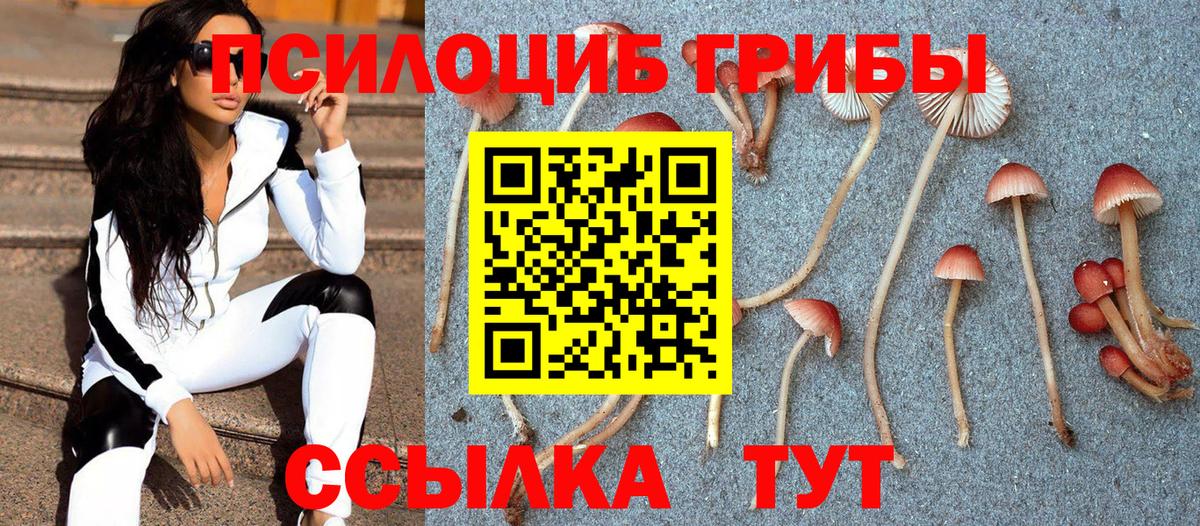 Псилоцибиновые грибы Cubensis Алексин
