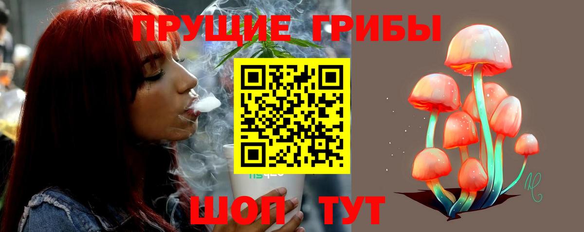 Псилоцибиновые грибы MAGIC MUSHROOMS Алексин